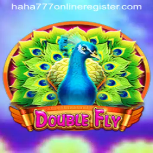 DoubleFly Game Introduction and Rules